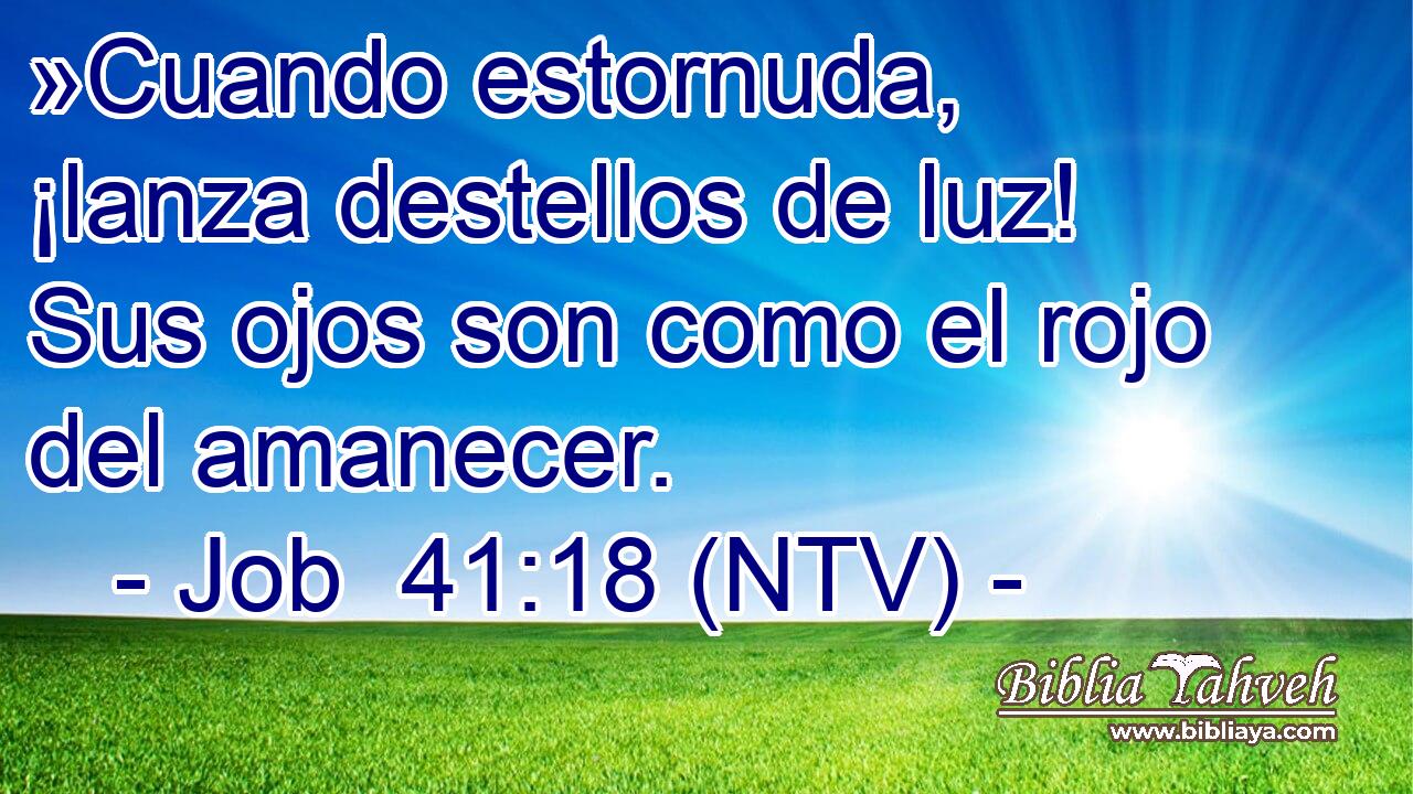 »Cuando estornuda, ¡lanza destellos de luz! Sus ojos son como el rojo del amanecer.