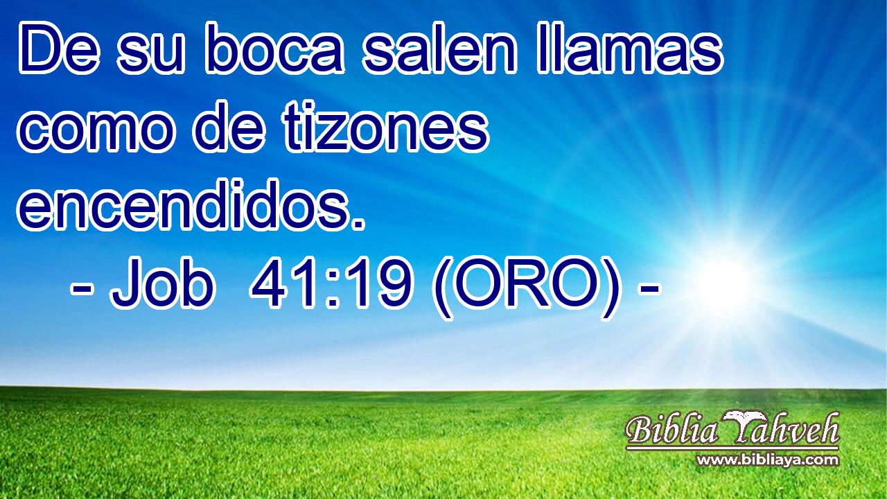  De su boca salen llamas como de tizones encendidos. 
