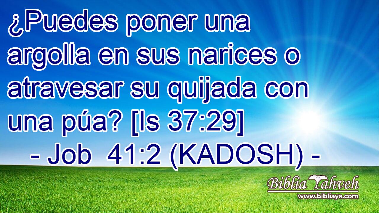  ¿Puedes poner una argolla en sus narices o atravesar su quijada con una púa? [Is 37:29] 