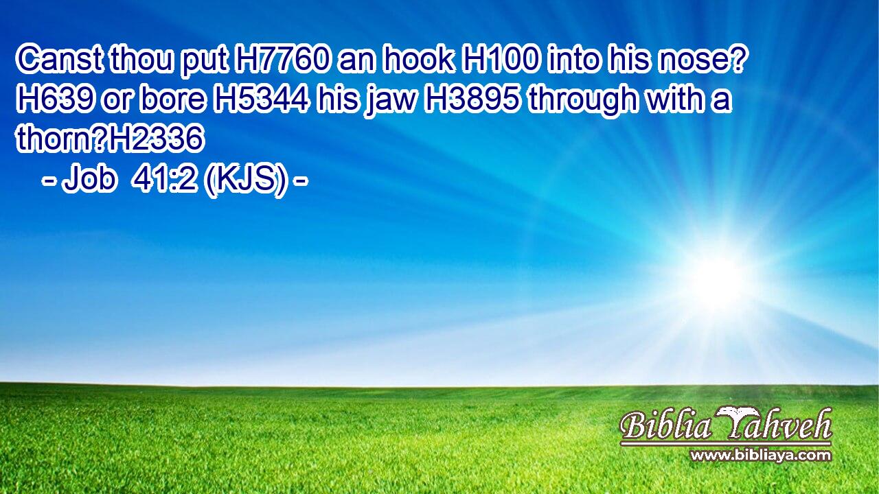 Canst thou put H7760 an hook H100 into his nose? H639 or bore H5344 his jaw H3895 through with a thorn?H2336