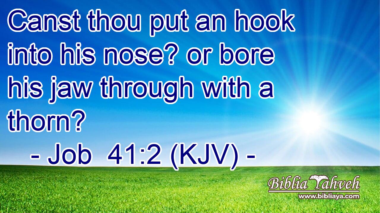 Canst thou put an hook into his nose? or bore his jaw through with a thorn?