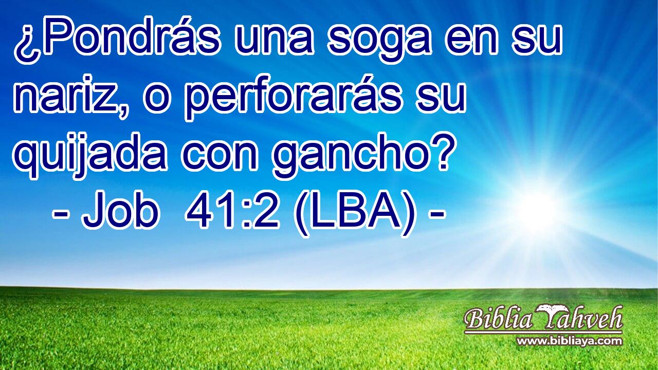 ¿Pondrás una soga en su nariz, o perforarás su quijada con gancho?