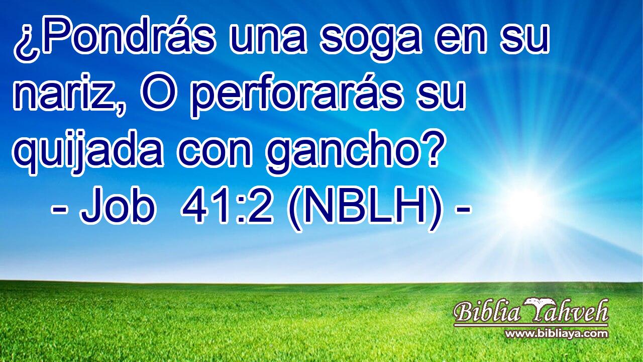  ¿Pondrás una soga en su nariz, O perforarás su quijada con gancho? 