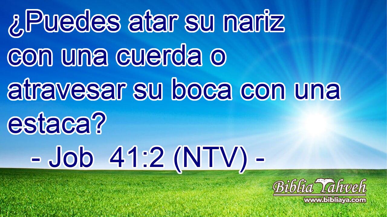 ¿Puedes atar su nariz con una cuerda o atravesar su boca con una estaca?
