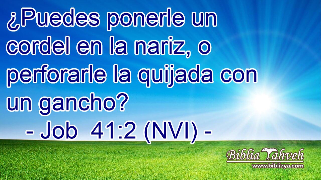  ¿Puedes ponerle un cordel en la nariz, o perforarle la quijada con un gancho? 