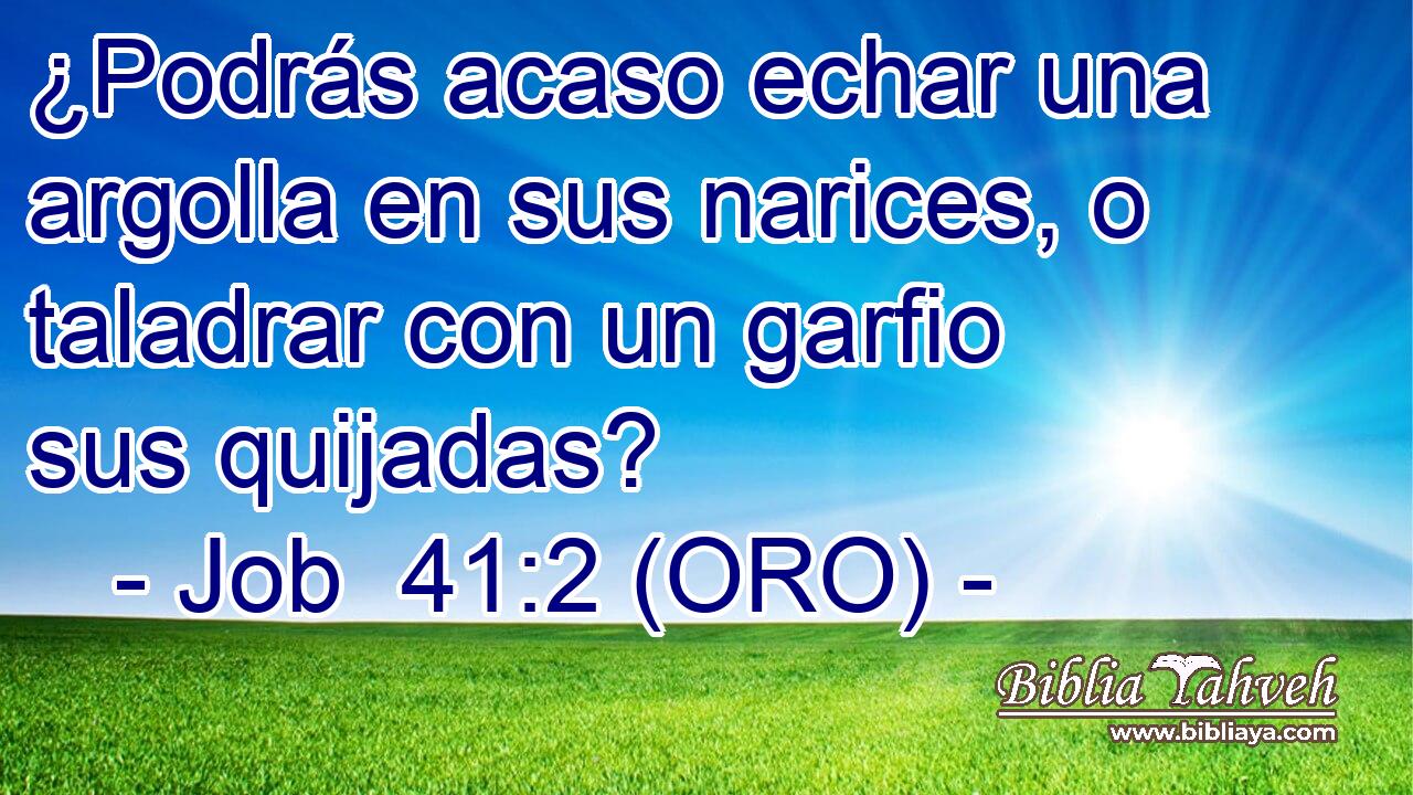  ¿Podrás acaso echar una argolla en sus narices, o taladrar con un garfio sus quijadas? 