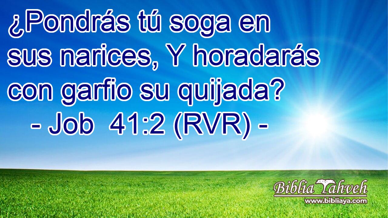 ¿Pondrás tú soga en sus narices, Y horadarás con garfio su quijada?
