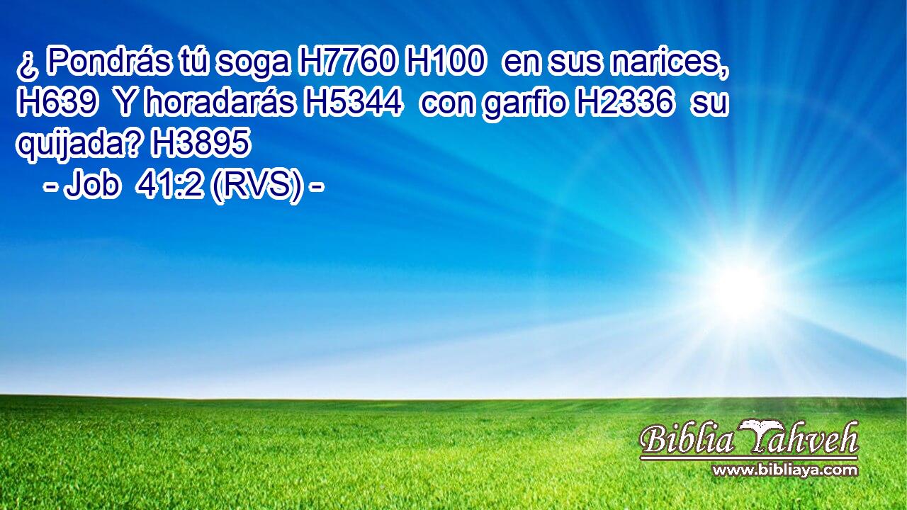 ¿ Pondrás tú soga H7760 H100  en sus narices, H639  Y horadarás H5344  con garfio H2336  su quijada? H3895  