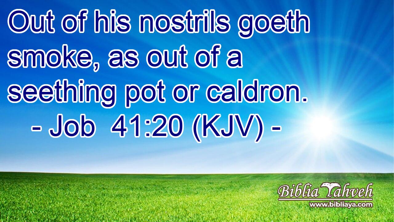 Out of his nostrils goeth smoke, as out of a seething pot or caldron.