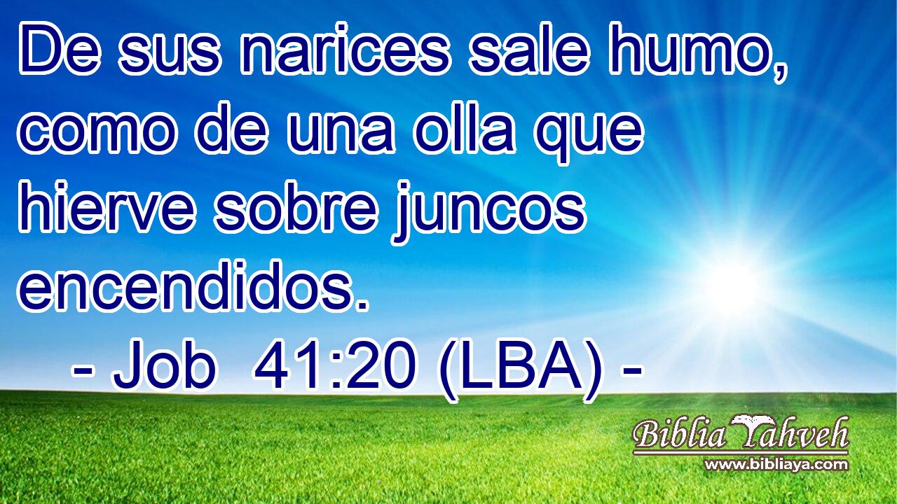 De sus narices sale humo, como de una olla que hierve sobre juncos encendidos.