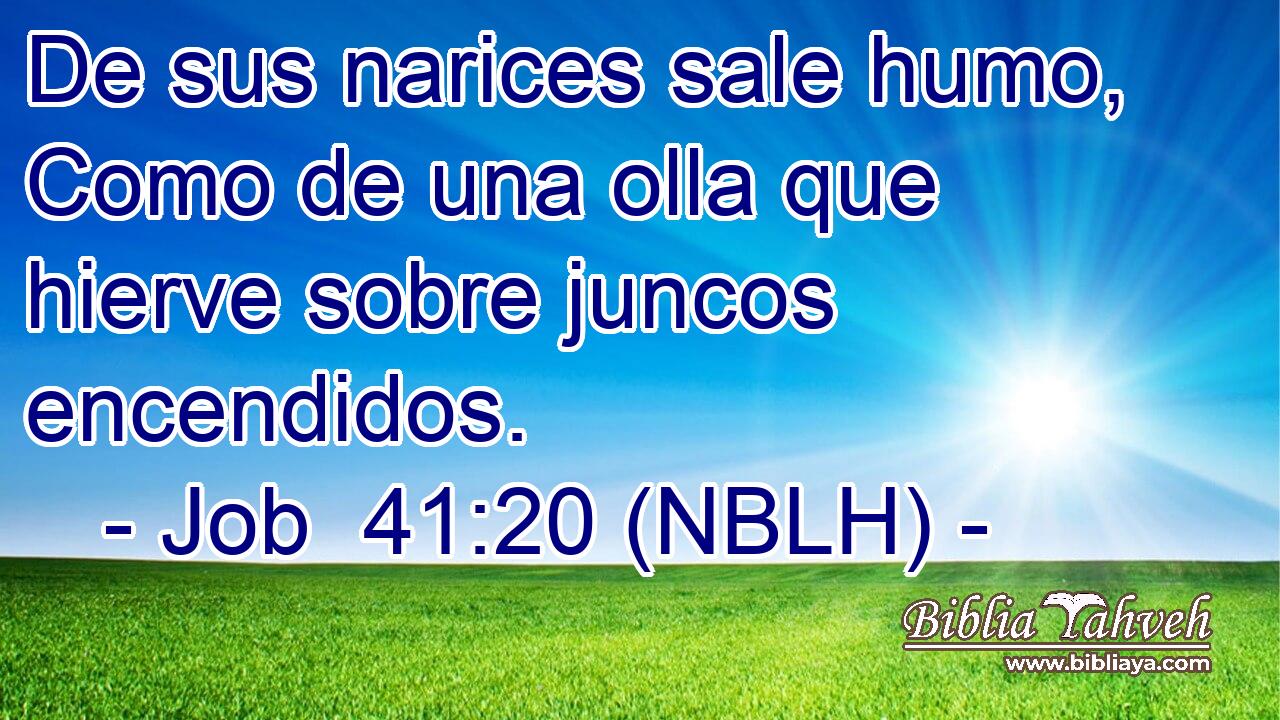  De sus narices sale humo, Como de una olla que hierve sobre juncos encendidos. 