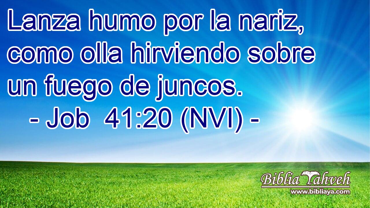  Lanza humo por la nariz, como olla hirviendo sobre un fuego de juncos. 