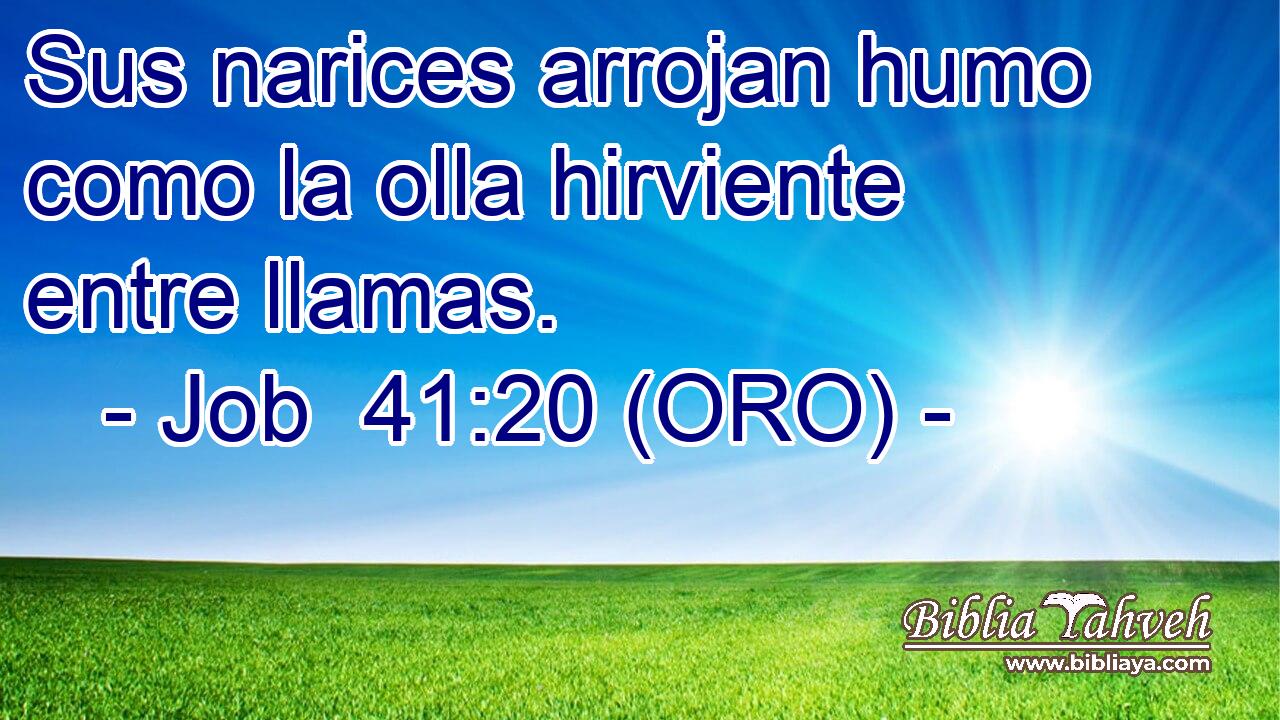  Sus narices arrojan humo como la olla hirviente entre llamas. 