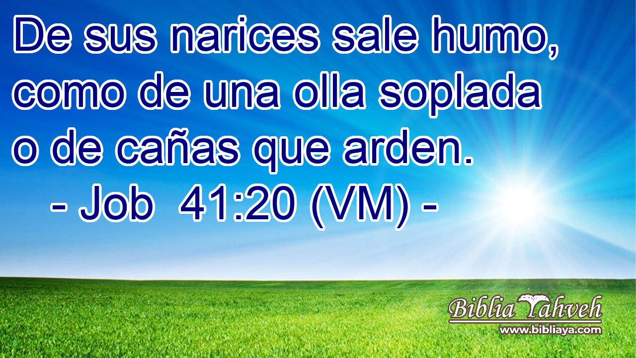  De sus narices sale humo, como de una olla soplada o de cañas que arden. 
