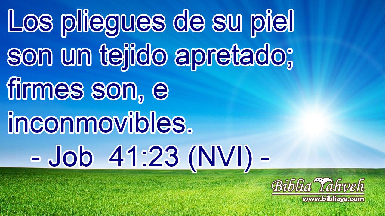  Los pliegues de su piel son un tejido apretado; firmes son, e inconmovibles. 