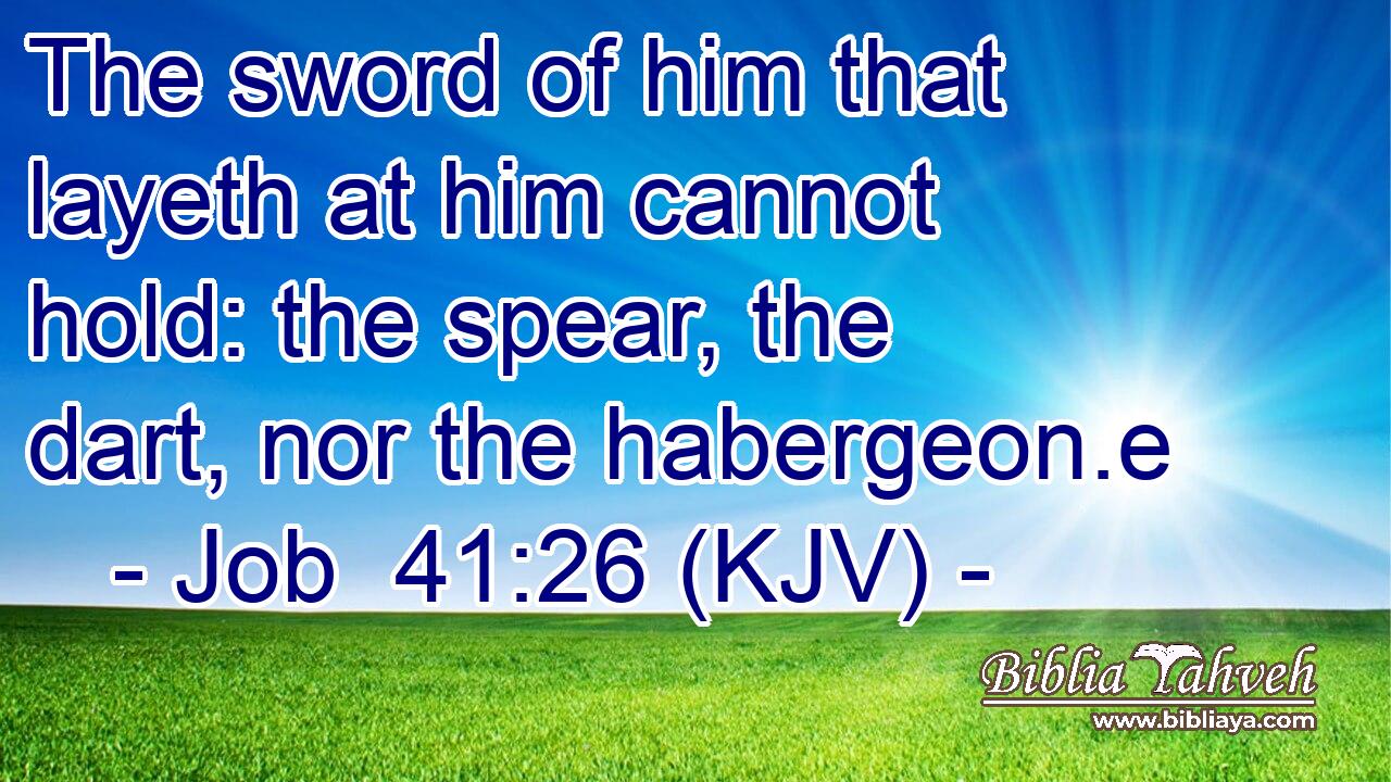 The sword of him that layeth at him cannot hold: the spear, the dart, nor the habergeon.e