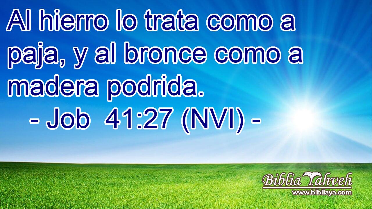  Al hierro lo trata como a paja, y al bronce como a madera podrida. 