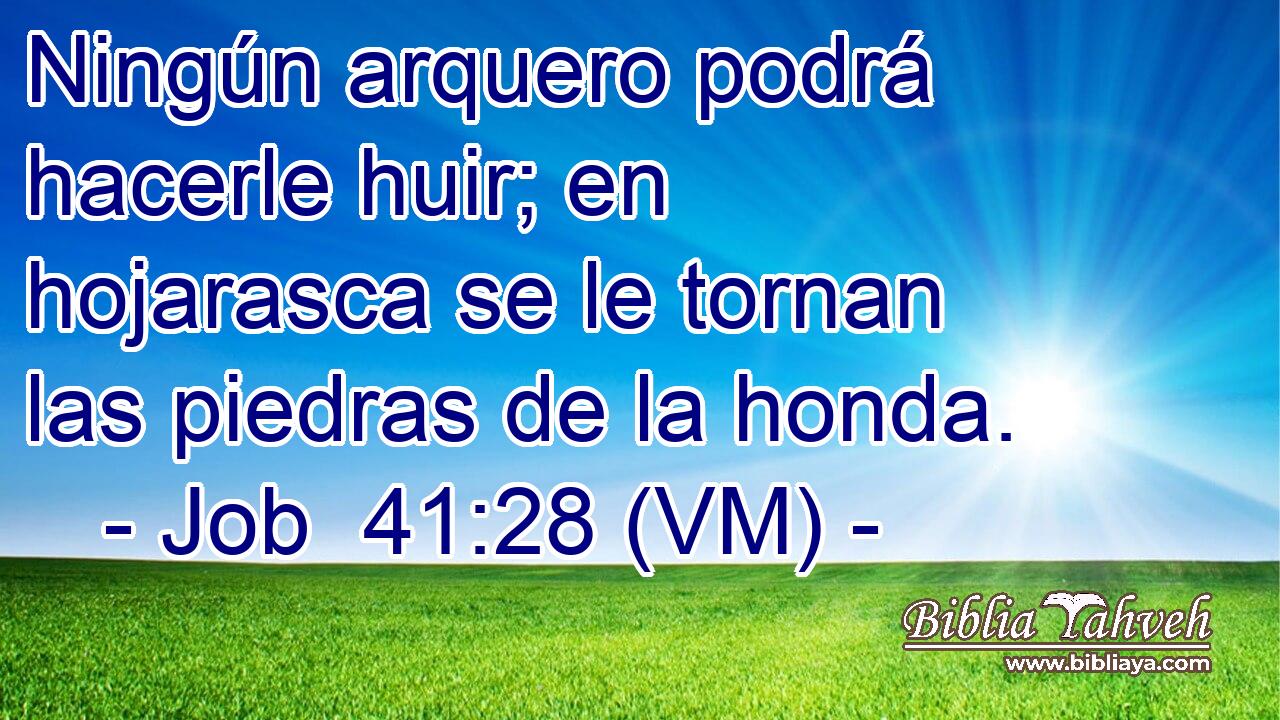  Ningún arquero podrá hacerle huir; en hojarasca se le tornan las piedras de la honda. 