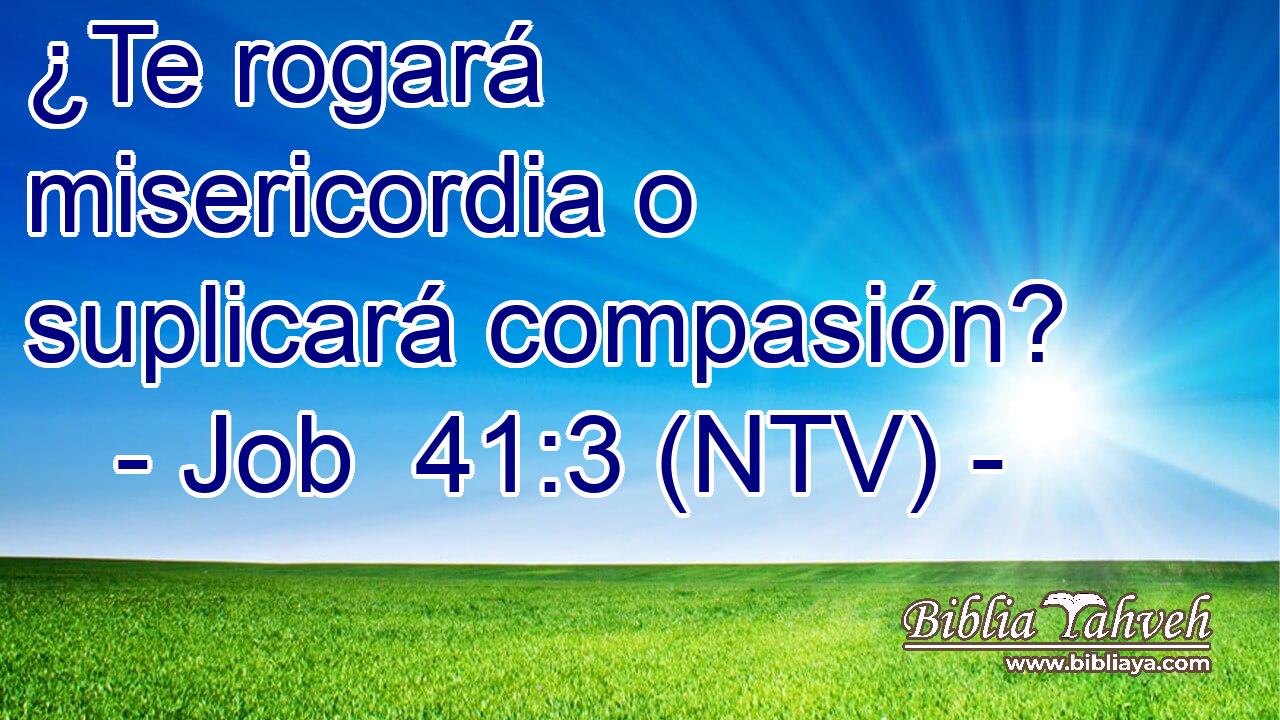 ¿Te rogará misericordia o suplicará compasión?