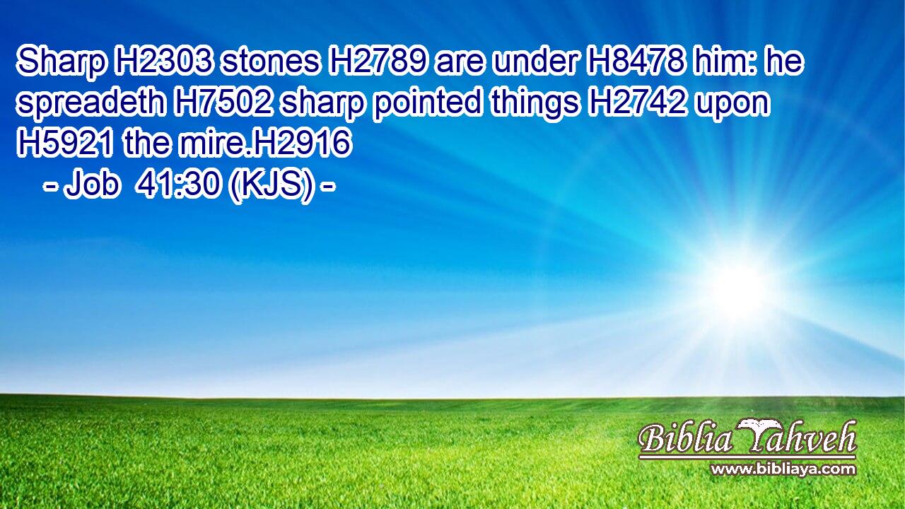 Sharp H2303 stones H2789 are under H8478 him: he spreadeth H7502 sharp pointed things H2742 upon H5921 the mire.H2916