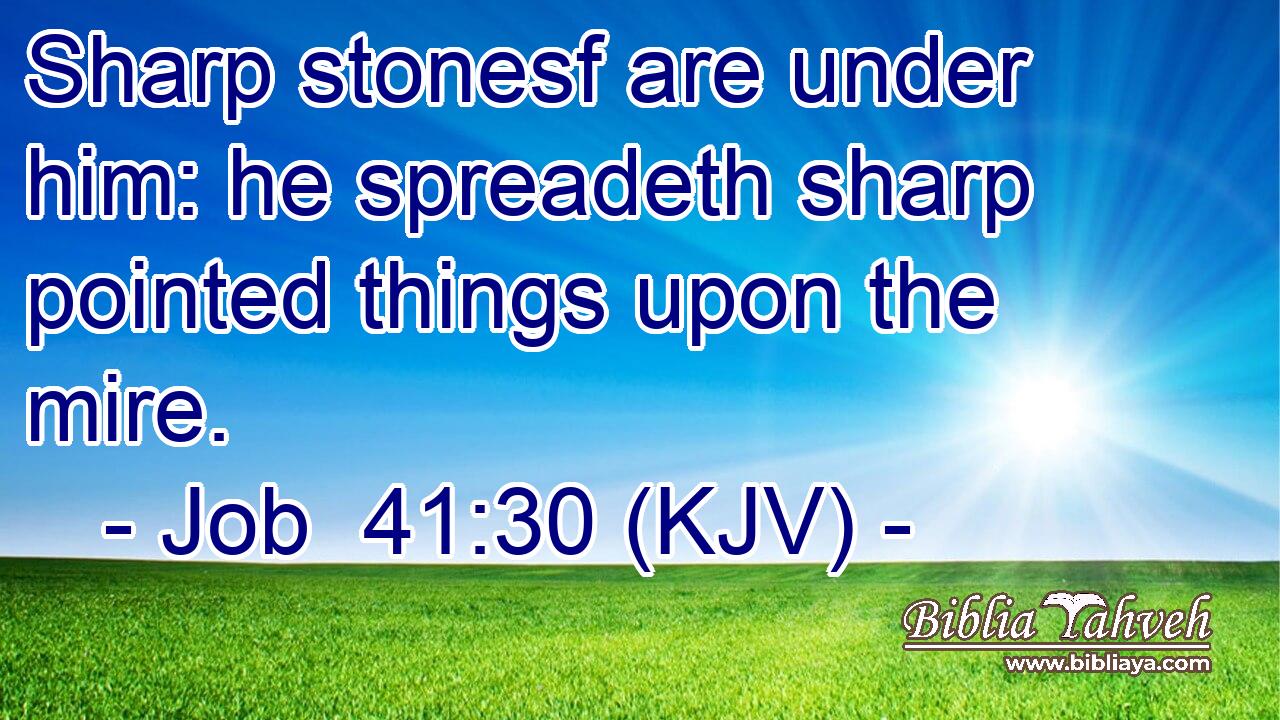 Sharp stonesf are under him: he spreadeth sharp pointed things upon the mire.