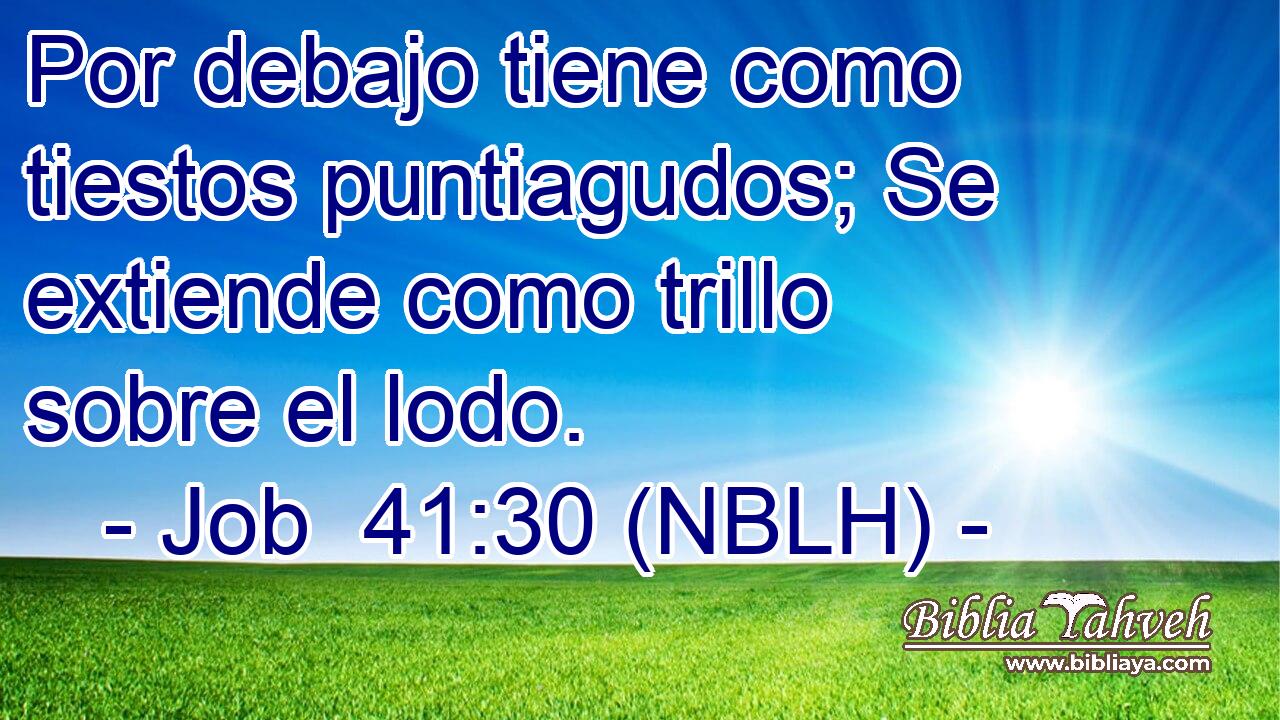  Por debajo tiene como tiestos puntiagudos; Se extiende como trillo sobre el lodo. 