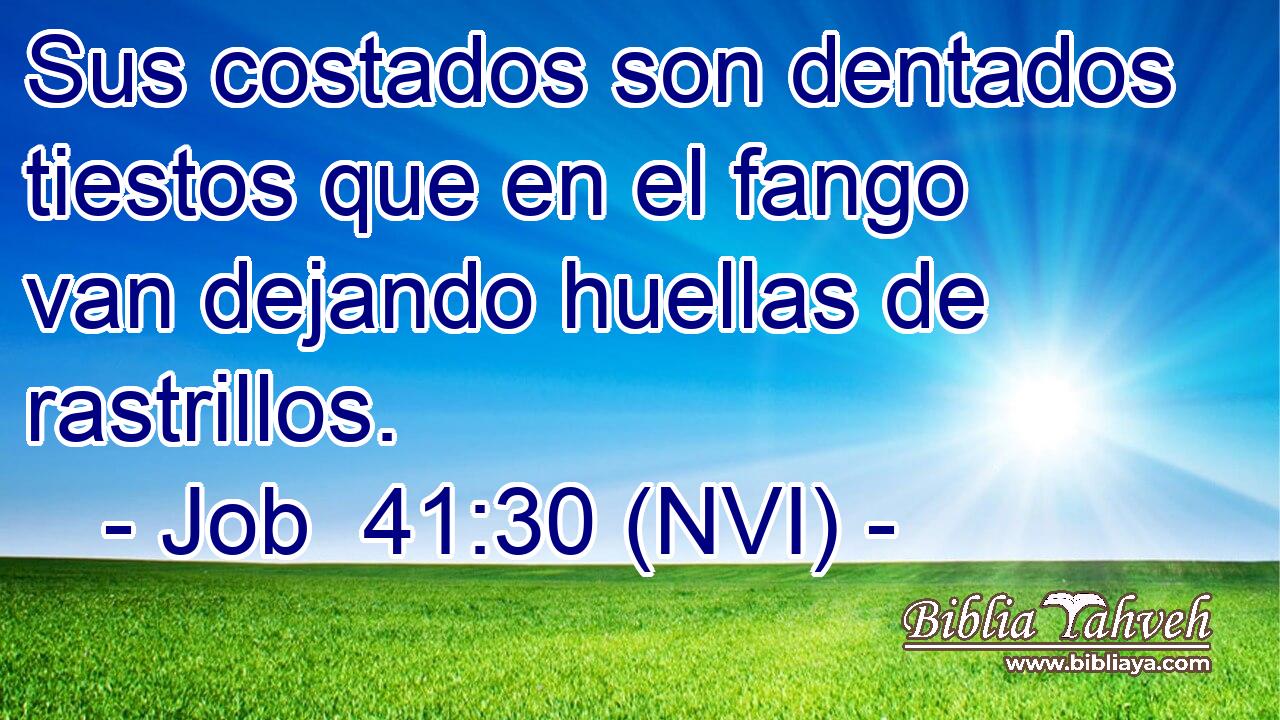  Sus costados son dentados tiestos que en el fango van dejando huellas de rastrillos. 