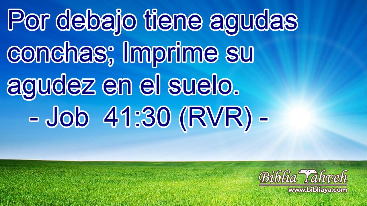 Por debajo tiene agudas conchas; Imprime su agudez en el suelo.