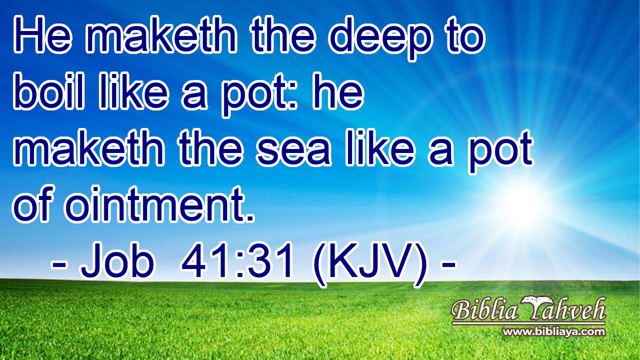 He maketh the deep to boil like a pot: he maketh the sea like a pot of ointment.