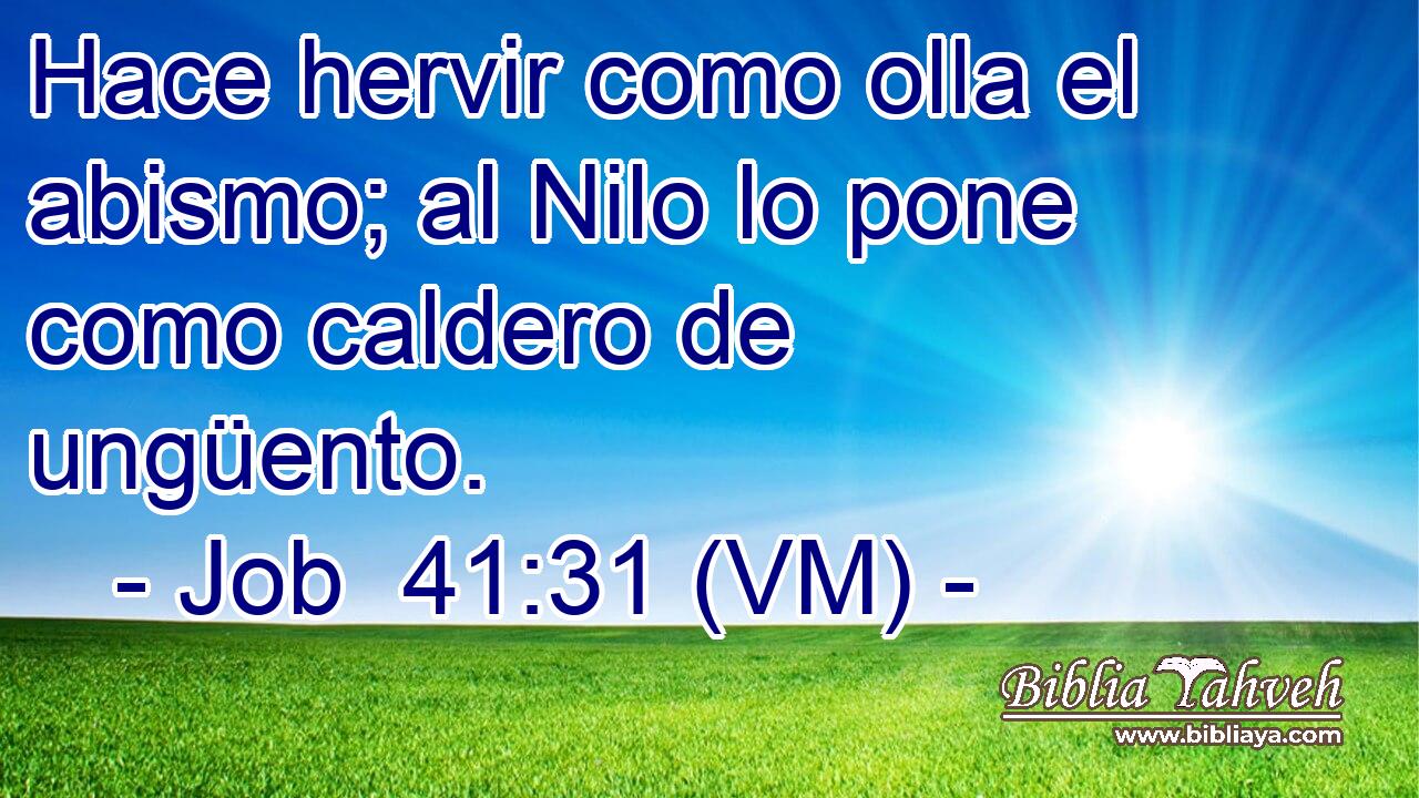  Hace hervir como olla el abismo; al Nilo lo pone como caldero de ungüento. 