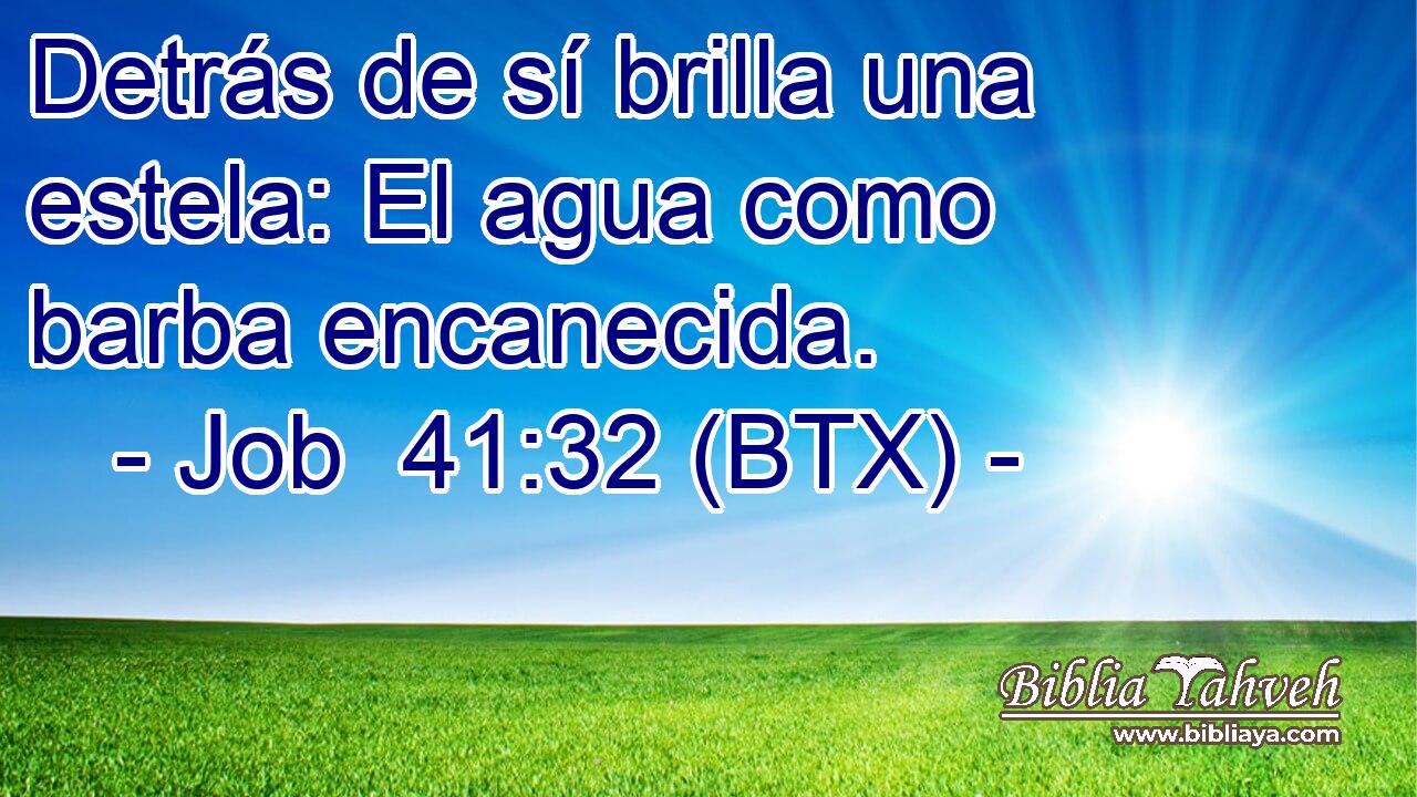 Detrás de sí brilla una estela: El agua como barba encanecida.