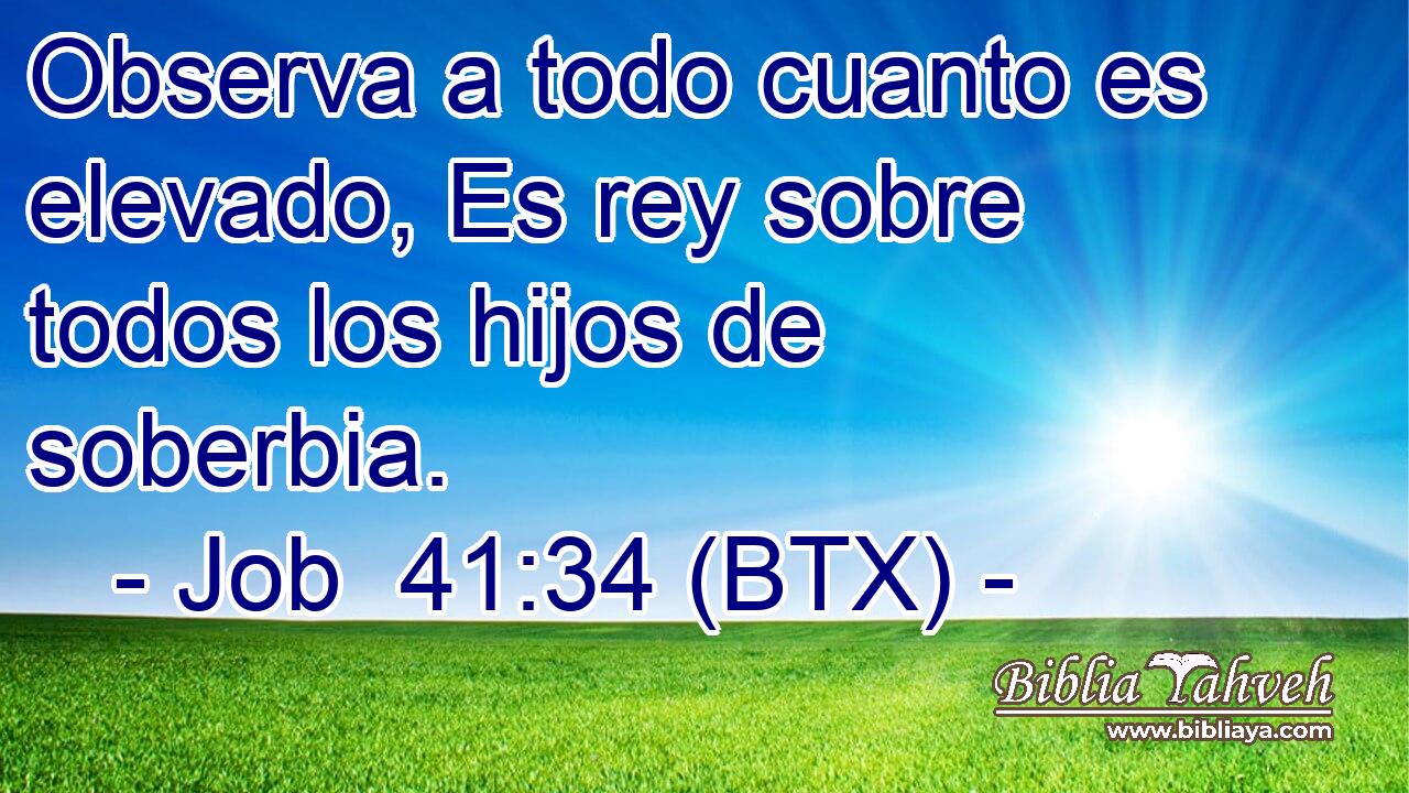 Observa a todo cuanto es elevado, Es rey sobre todos los hijos de soberbia.