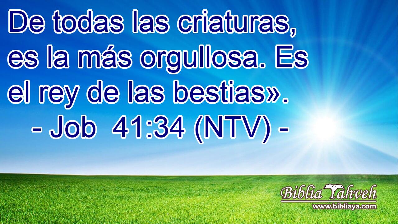De todas las criaturas, es la más orgullosa. Es el rey de las bestias».