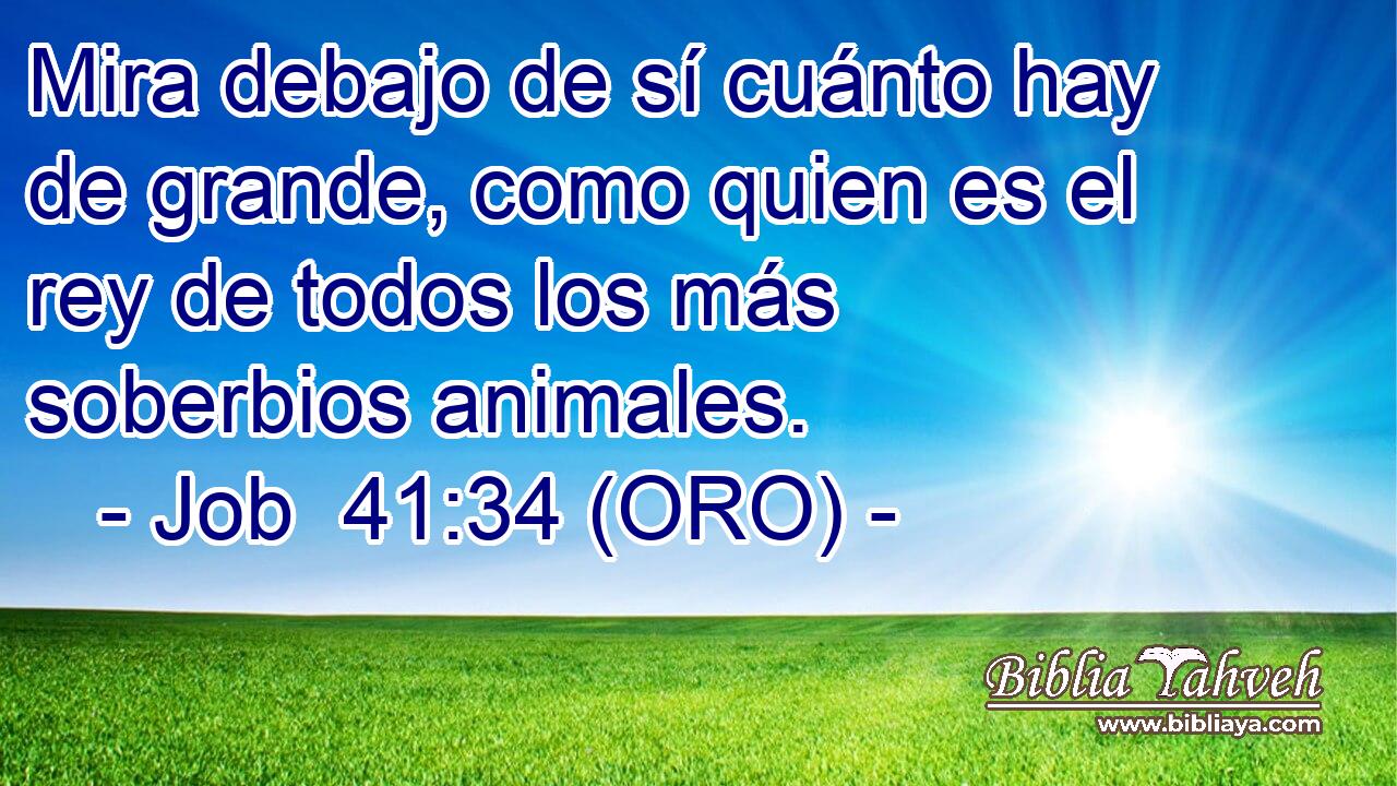  Mira debajo de sí cuánto hay de grande, como quien es el rey de todos los más soberbios animales. 