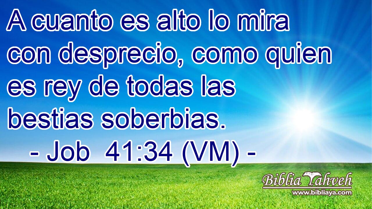  A cuanto es alto lo mira con desprecio, como quien es rey de todas las bestias soberbias. 