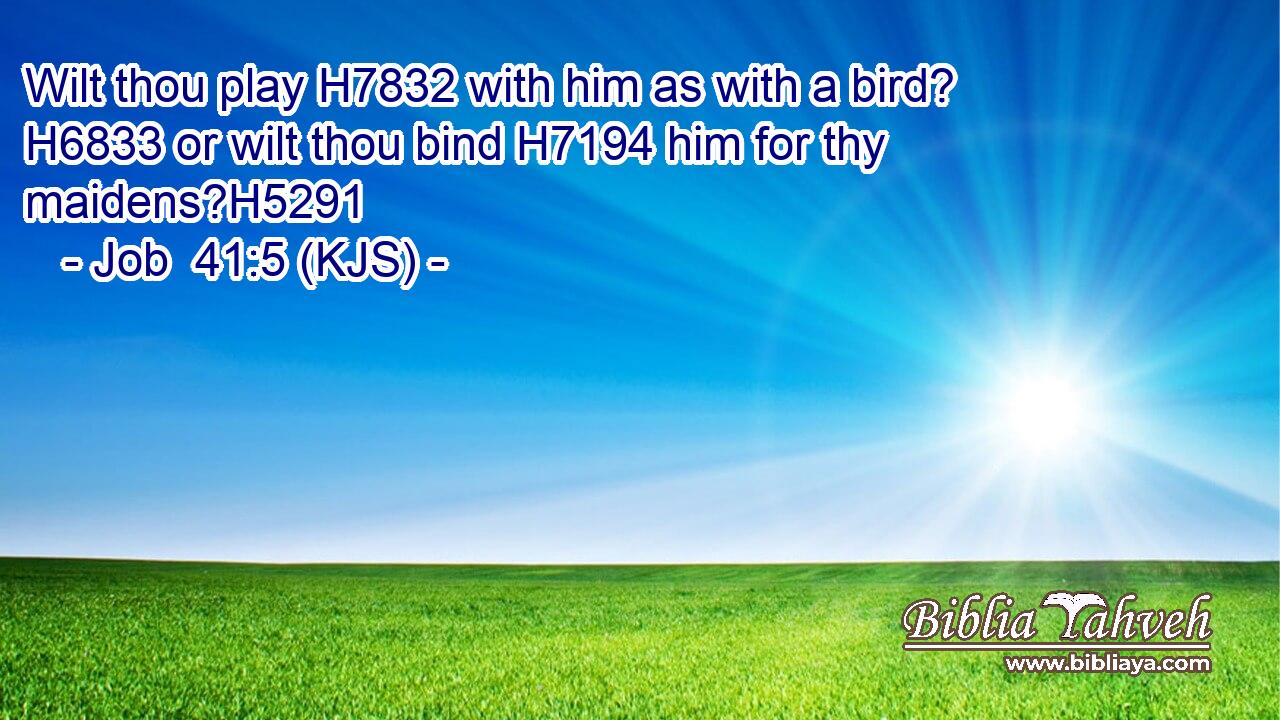 Wilt thou play H7832 with him as with a bird? H6833 or wilt thou bind H7194 him for thy maidens?H5291