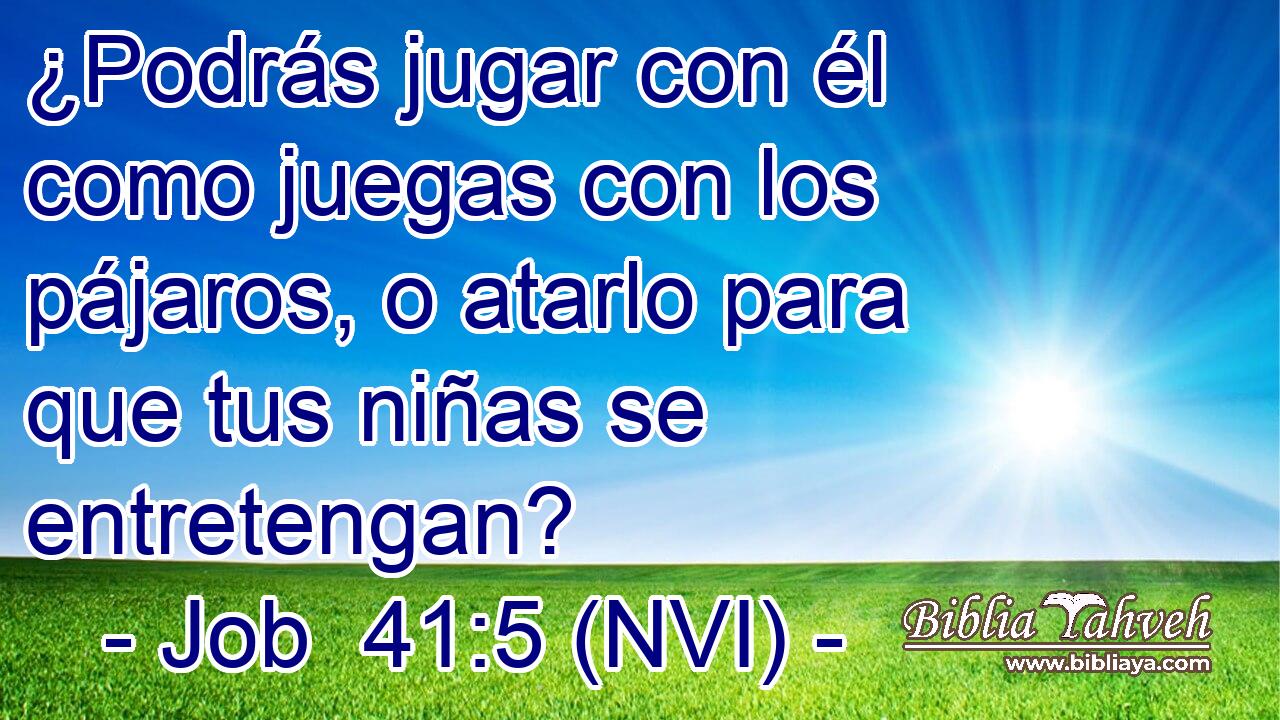  ¿Podrás jugar con él como juegas con los pájaros, o atarlo para que tus niñas se entretengan? 