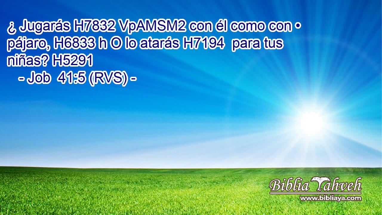 ¿ Jugarás H7832 VpAMSM2 con él como con • pájaro, H6833 h O lo atarás H7194  para tus niñas? H5291  
