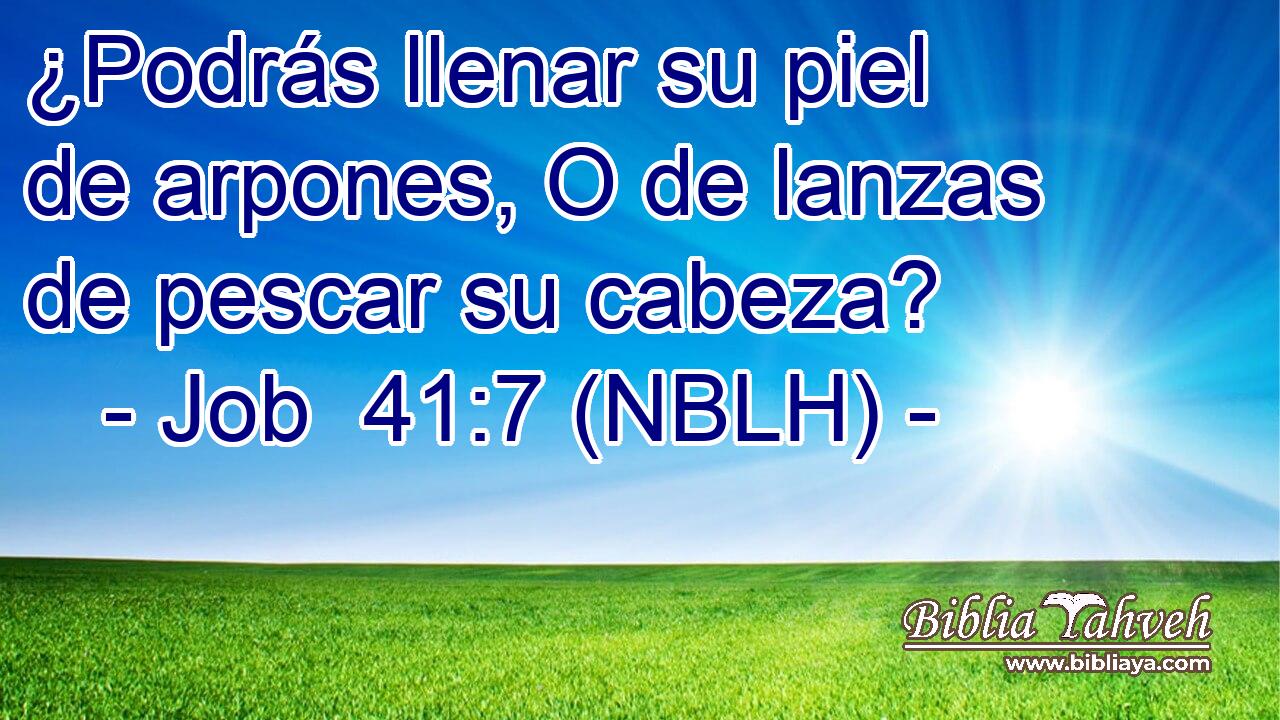  ¿Podrás llenar su piel de arpones, O de lanzas de pescar su cabeza? 