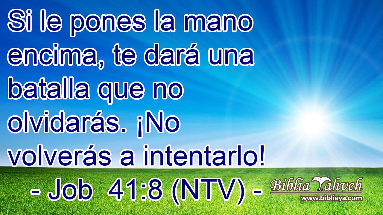 Si le pones la mano encima, te dará una batalla que no olvidarás. ¡No volverás a intentarlo!