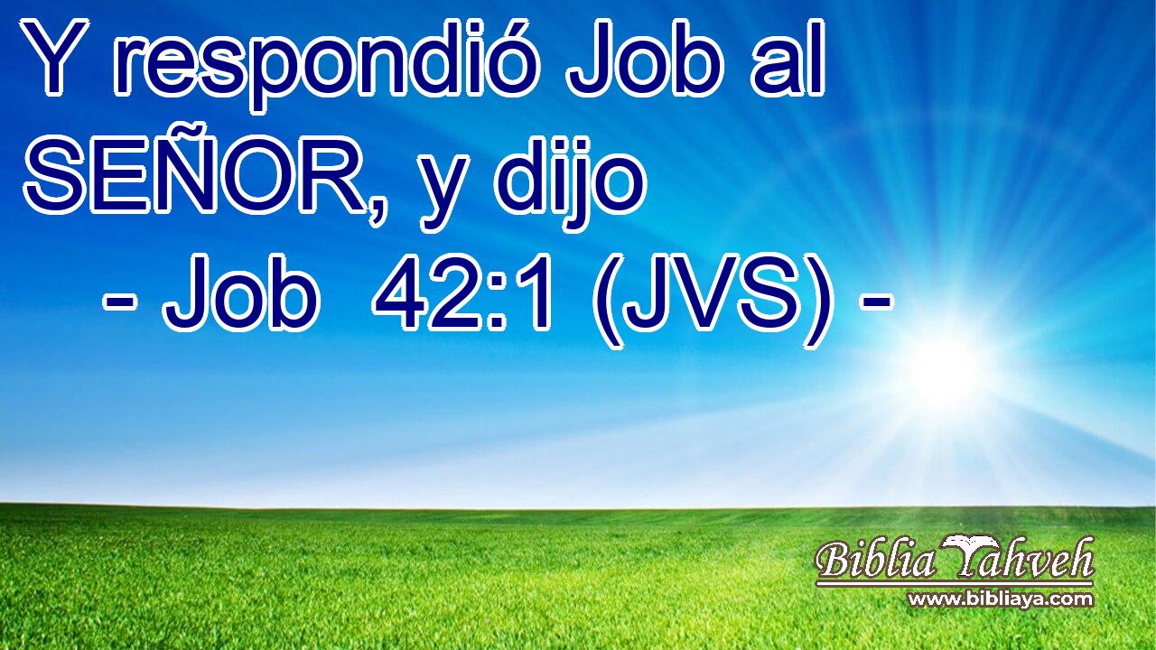 Y respondió Job al SEÑOR, y dijo
