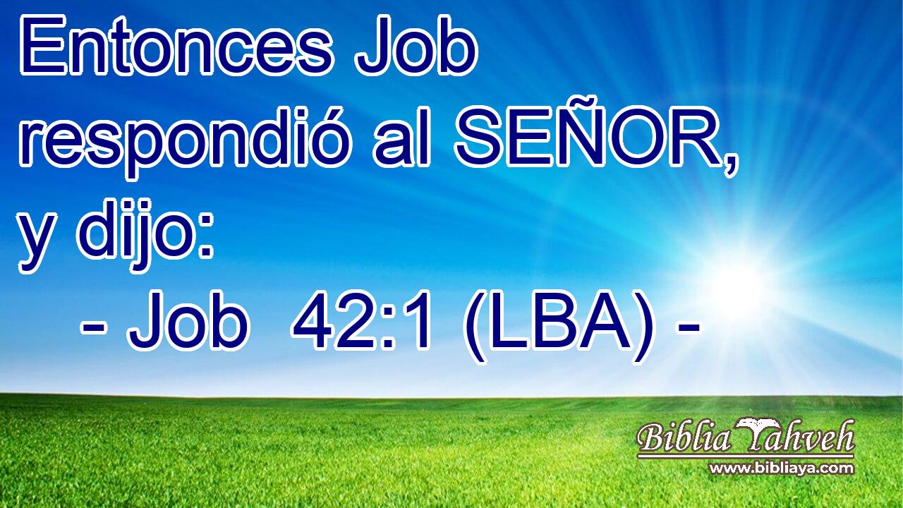 Entonces Job respondió al SEÑOR, y dijo: