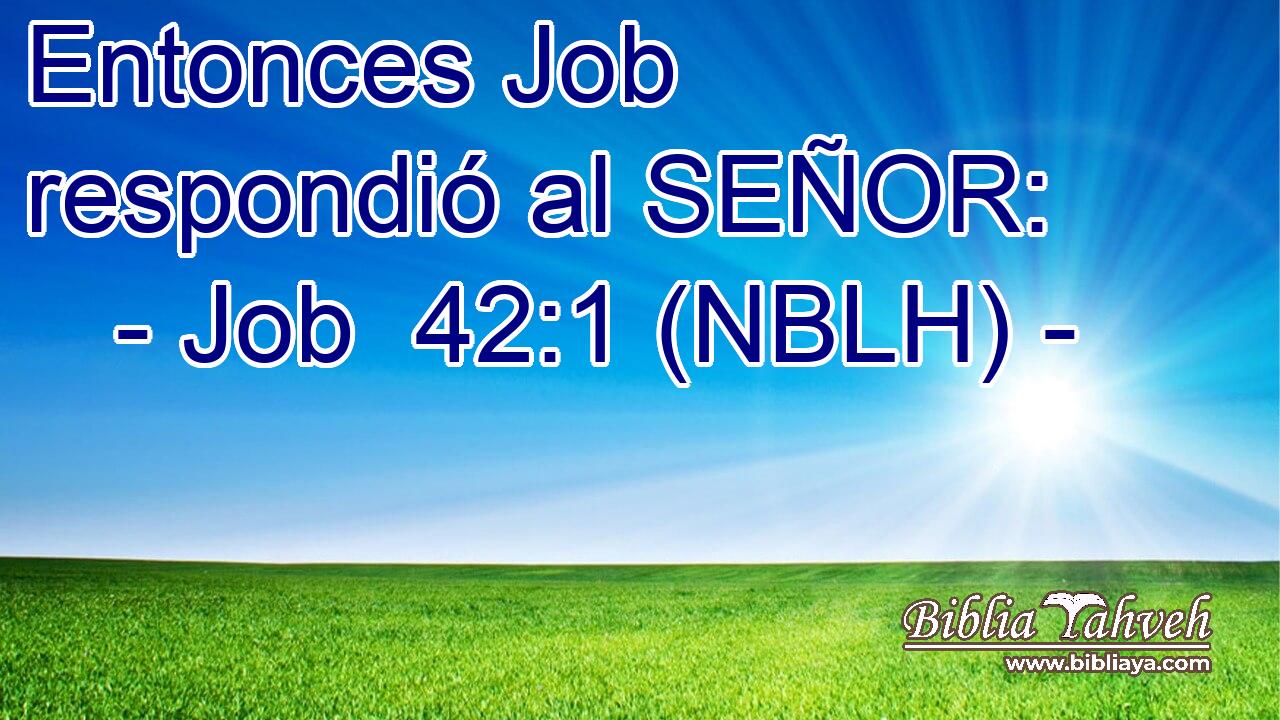  Entonces Job respondió al SEÑOR: 
