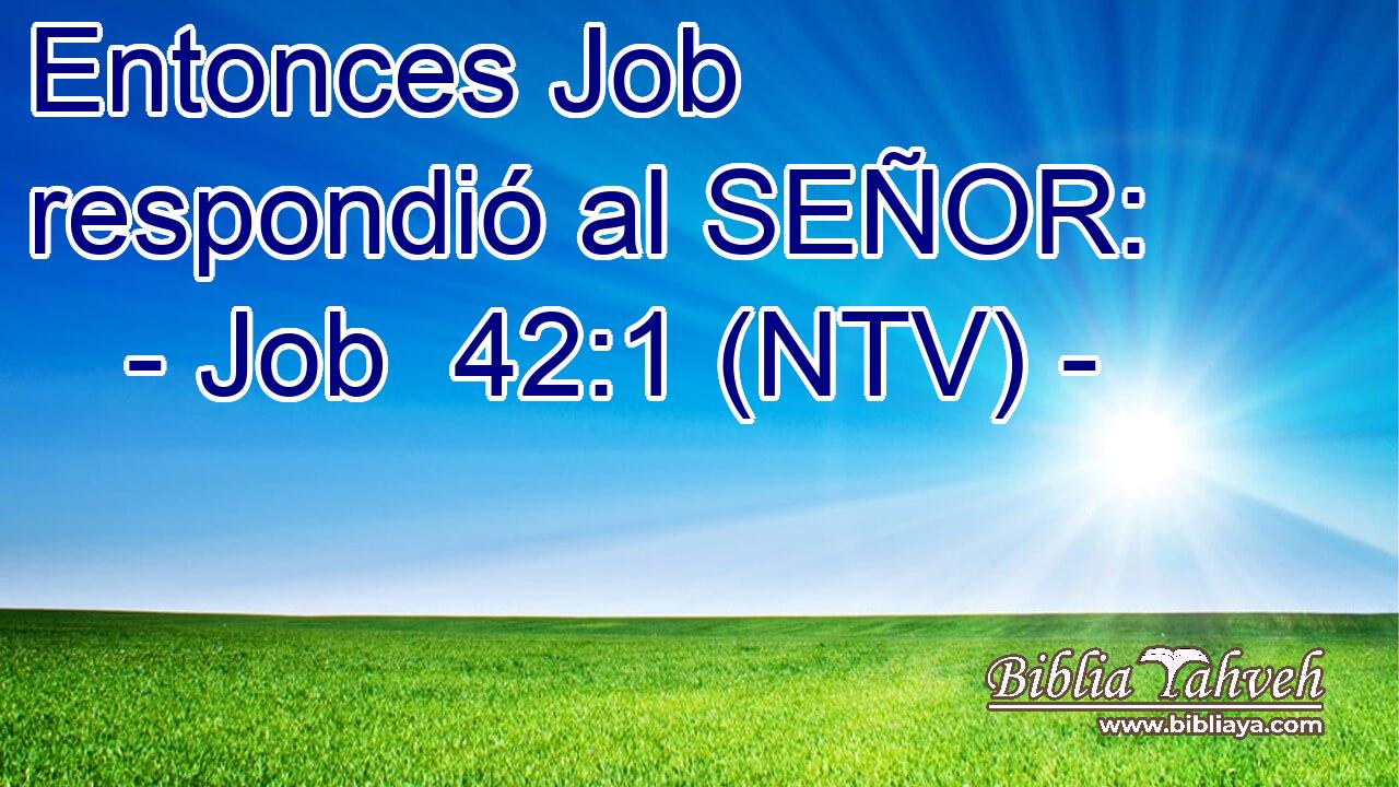 Entonces Job respondió al SEÑOR: