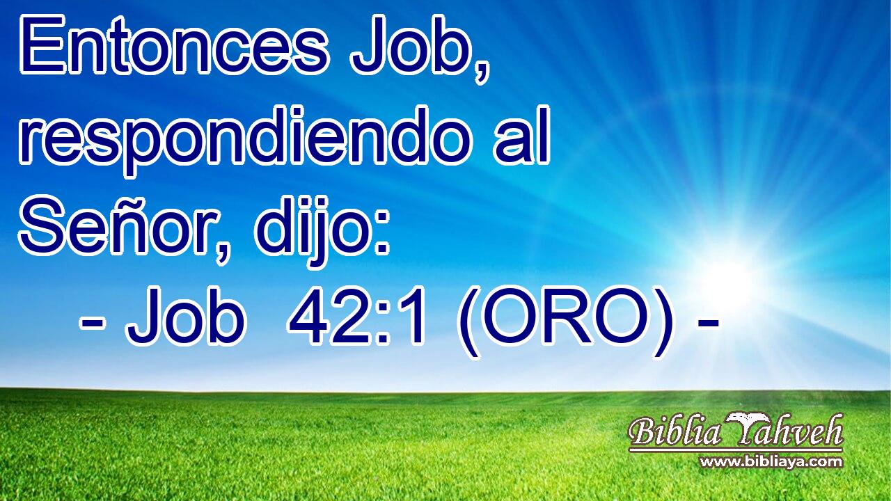  Entonces Job, respondiendo al Señor, dijo: 