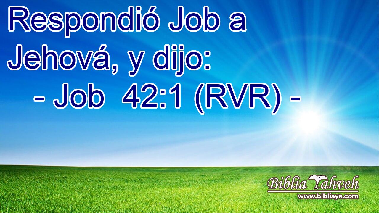 Respondió Job a Jehová, y dijo: