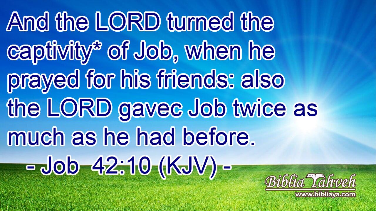 And the LORD turned the captivity* of Job, when he prayed for his friends: also the LORD gavec Job twice as much as he had before.