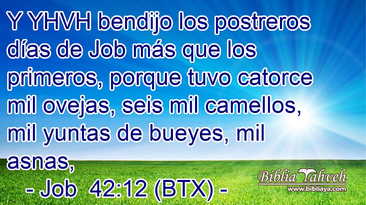 Y YHVH bendijo los postreros días de Job más que los primeros, porque tuvo catorce mil ovejas, seis mil camellos, mil yuntas de bueyes, mil asnas,