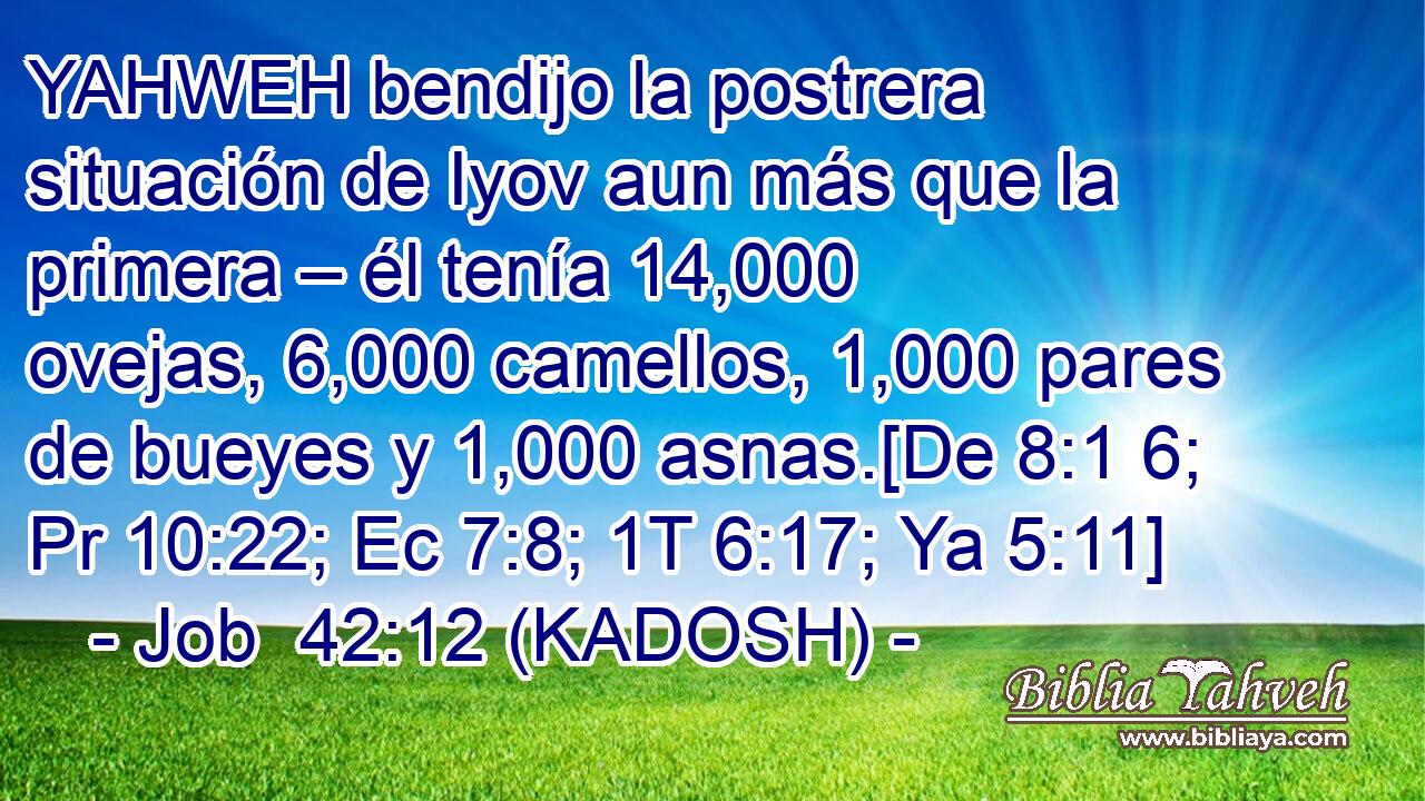  YAHWEH bendijo la postrera situación de Iyov aun más que la primera – él tenía 14,000 ovejas, 6,000 camellos, 1,000 pares de bueyes y 1,000 asnas.[De 8:1 6; Pr 10:22; Ec 7:8; 1T 6:17; Ya 5:11] 
