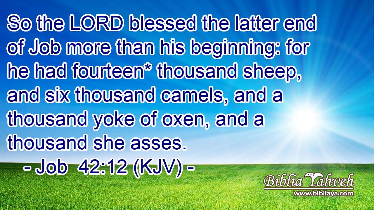 So the LORD blessed the latter end of Job more than his beginning: for he had fourteen* thousand sheep, and six thousand camels, and a thousand yoke of oxen, and a thousand she asses.